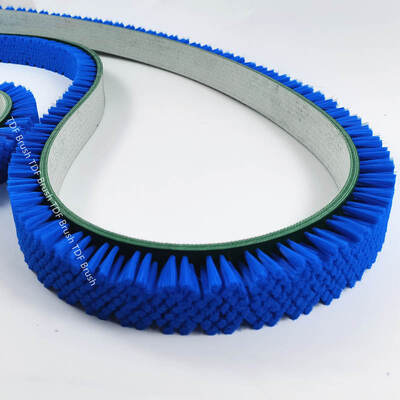Nylon/PP Bristle Flat Belt Brushes for Transverse Cleaning & Conveyance - Endless/Open-Ended Options