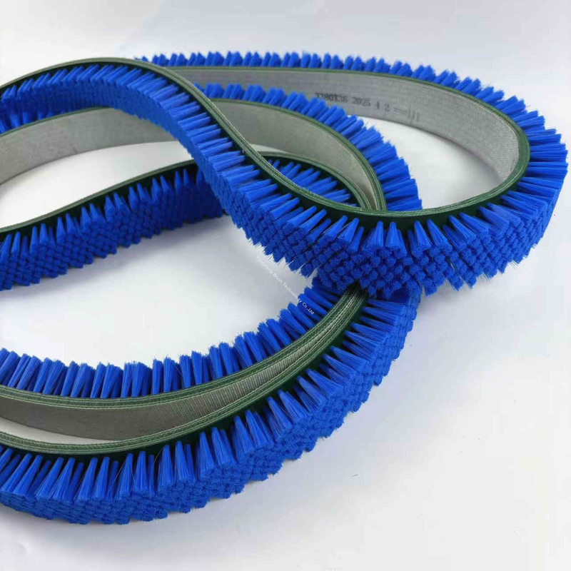 Non Scratch Nylon Belt Brush For Delicate Surface Cleaning