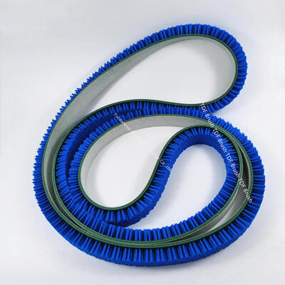 Nylon-/PP-Bristel-Flachbandbürsten zur Querschnittsreinigung und -beförderung - endlose/offene Optionen